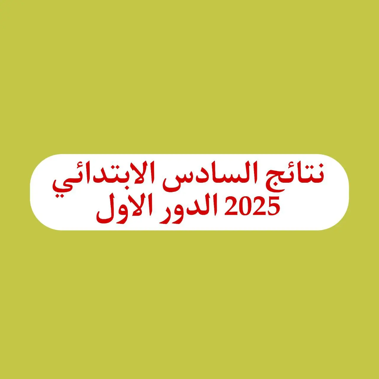 نتائج السادس الابتدائي 2025 الدور الاول